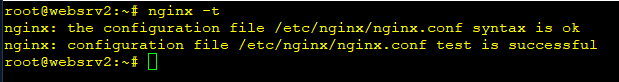 nginx-t-1